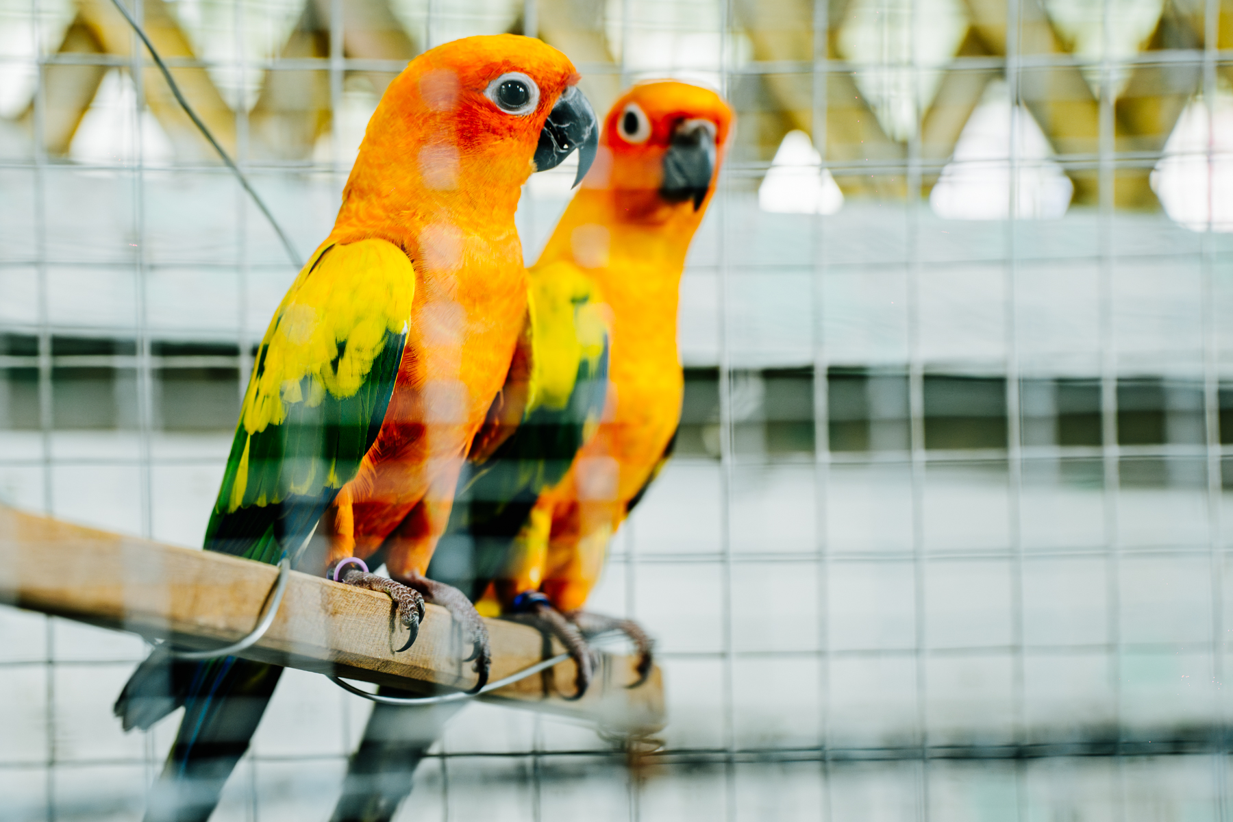 DSC00302-Enhanced-NR