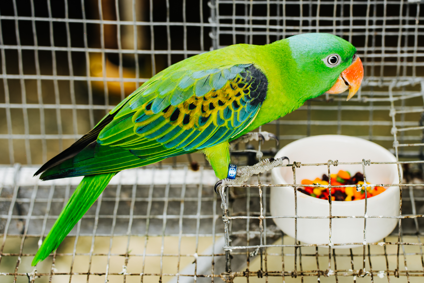 DSC00333-Enhanced-NR