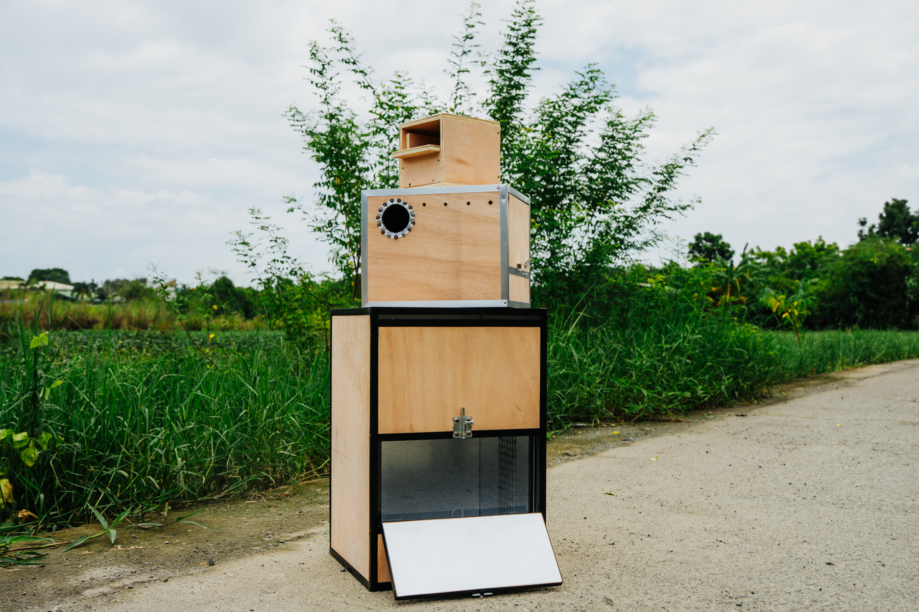 DSC00401-Enhanced-NR