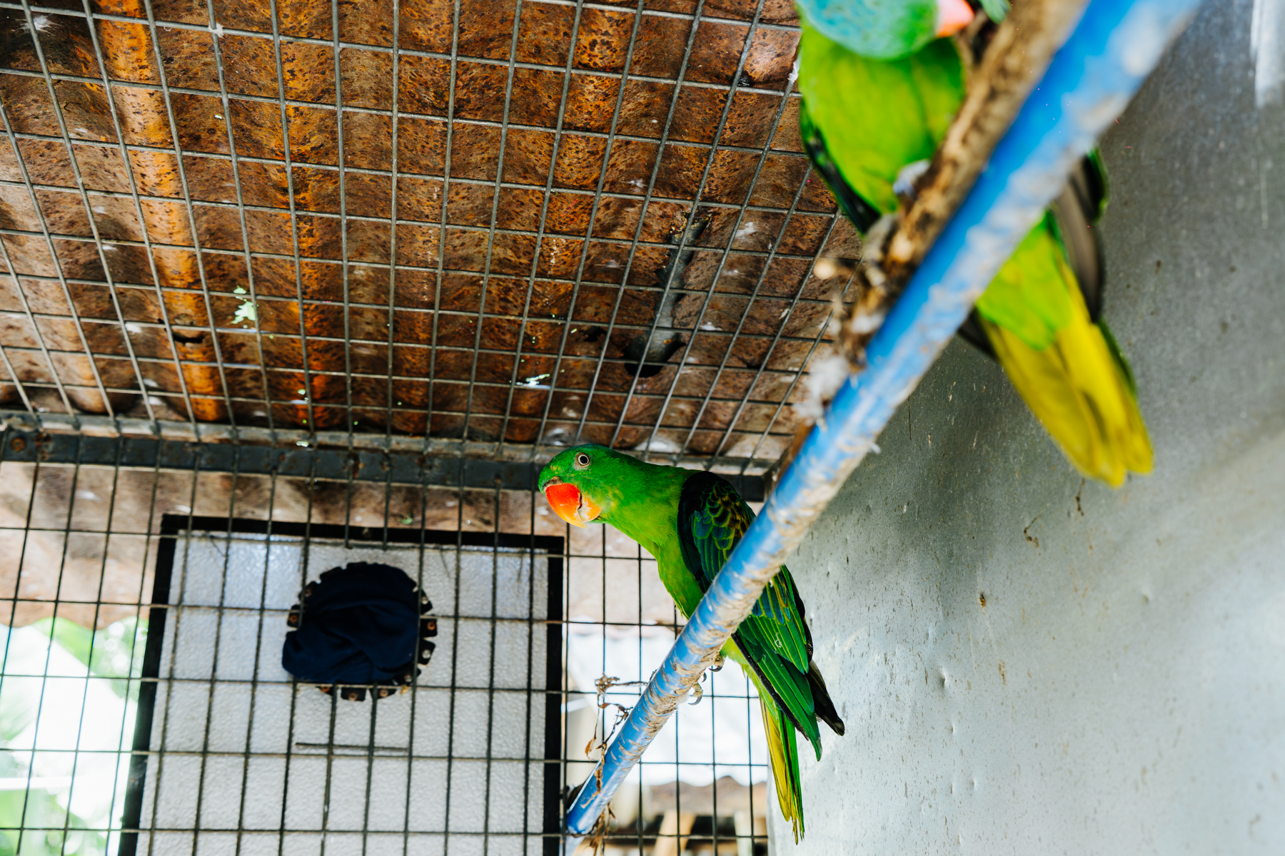 DSC00452-Enhanced-NR