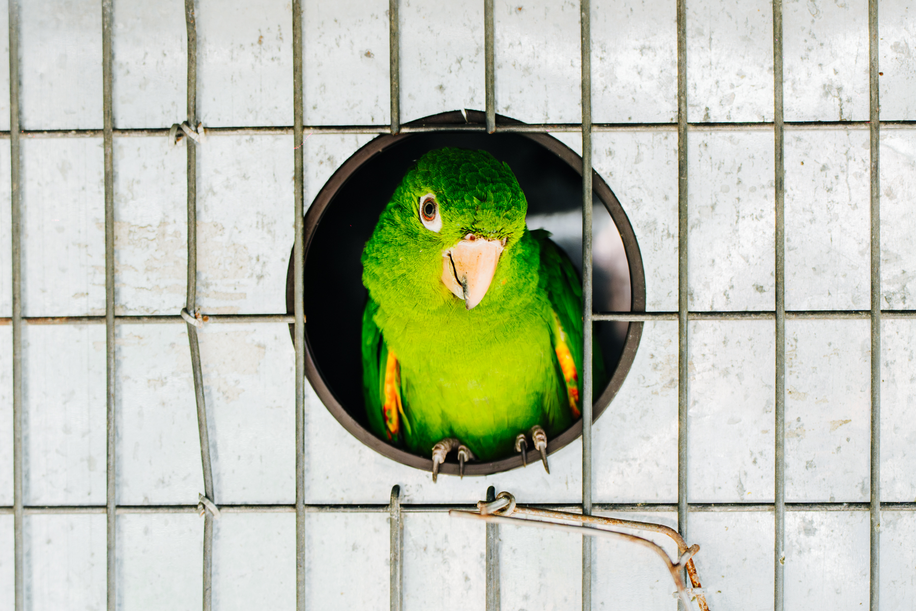 DSC00493-Enhanced-NR