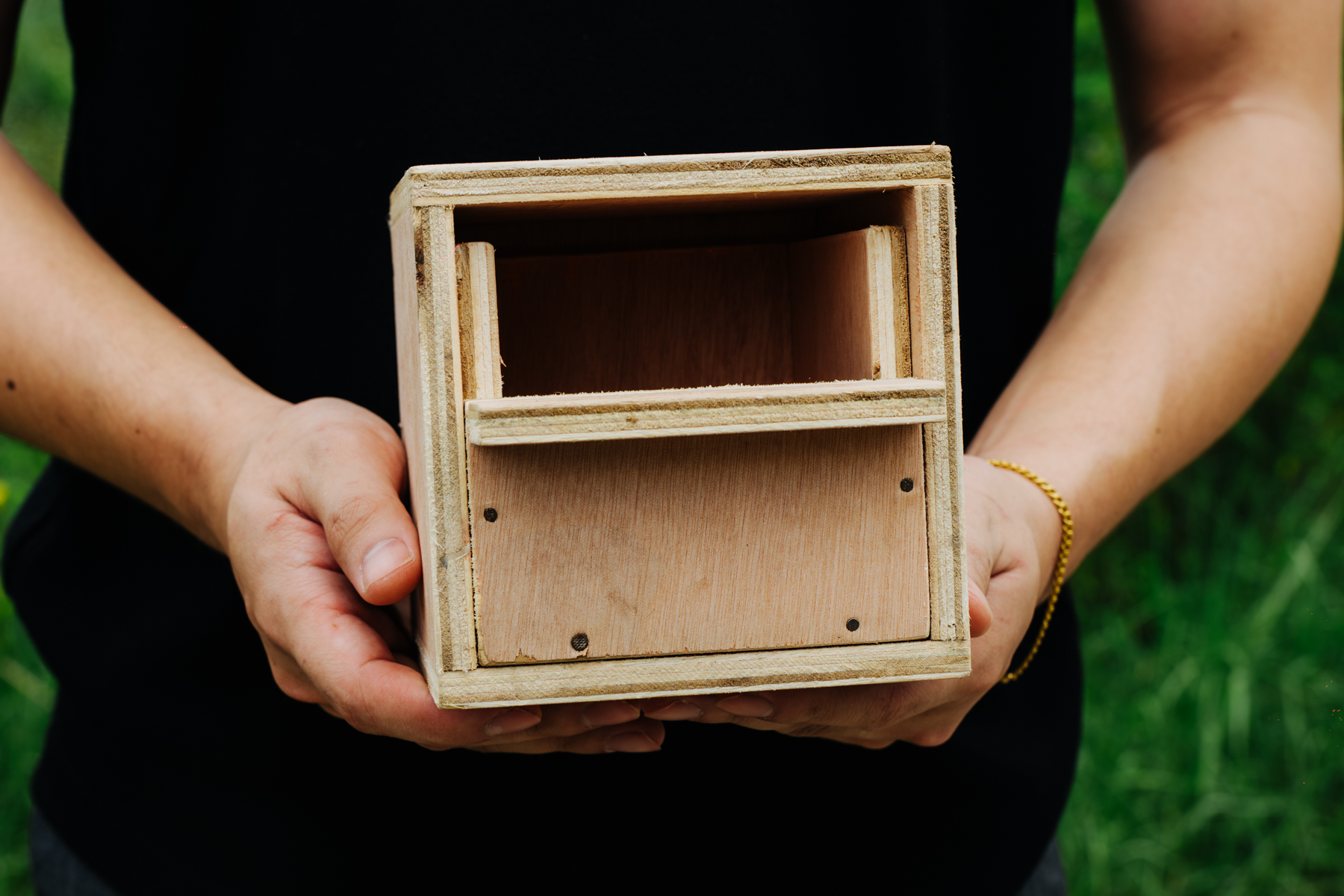 DSC00385-Enhanced-NR